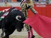 Retraite taureau cornes