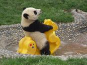 World Warcraft film tournage début 2014