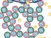 DIABÈTE: injection unique nano-insuline pour jours tranquillité Nano