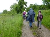 RUSTROFF(57)-Un Petit Tour dans Bois