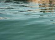 ville nous voyons Claire Tenu