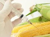 Monsanto fait payer amendes agriculteurs