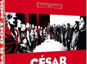 Critique dvd: cesar doit mourir