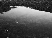 Webinaire mythes photo paysage avec Steve Gosling