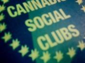 Bonnet d'Anne suprême après salle shoot, Anne Hidalgo veut-elle promouvoir "cannabis social clubs" Paris