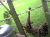 policier sauve chien et...surprise