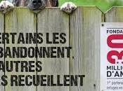 Millions d’Amis contre l’abandon animaux