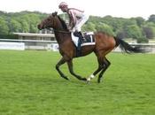 Grand Prix Saint-Cloud 2013