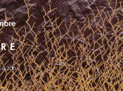 Galerie CAPAZZA NANCAY Sologne