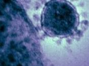 CORONAVIRUS CoV-MERS: Détection chez plusieurs contacts asymptomatiques