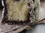 Lamingtons gâteaux australiens bien moelleux enrobés chocolat noix coco