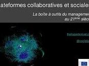 Plateformes collaboratives sociales d'entreprise Cecil Dijoux