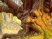 J'aime mots Macrobien