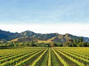 Rimapere Sauvignon Blanc 2012