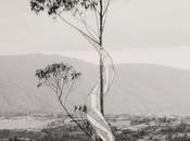 Exposition Reeve Schumacher Andres Donadio