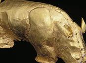 Rhinocéros d'or
