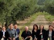 Huiles d’Olive AOP/AOC Vallée Baux-de-Provence