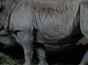 Sophie Dalby, lauréate Nuits Photographiques 2013