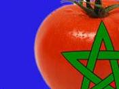 tomate succès Ramadan