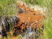 Pique-nique pied Granier