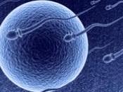 FERTILITÉ masculine: conditions d'une fertilité optimale ESHRE