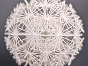 Impression Exnovo vers révolution