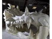 Crâne Dragon Royaume-Uni