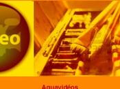 Aquavidéo n°29 David Bellamy