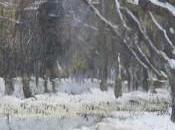 chaleur milieu froid: Natalia Zaitseva