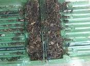 Tous contenants sont bons essayer