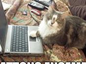 Live Comptoir l’Eté, Saison réouvre portes