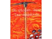 piolet dans mogettes