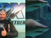 Manganiello Australie.