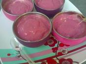 Glace yaourt fruits rouges