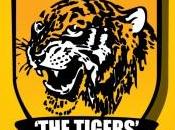Mercato-Hull City Amalfitano approche