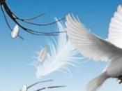 pays plus libertariens monde