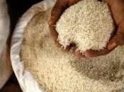 producteurs locaux peuvent nourrir Burkinabè
