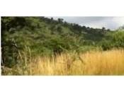 Courageux mais téméraire