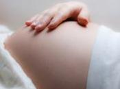 PLACENTAL Programming: comportement émotionnel programmé utero Nature Communications