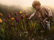 Magnifiques ambiances d’Elena Shumilova