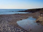 recettes picorer siroter plage