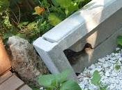 Multiplication Coquerets Pérou division