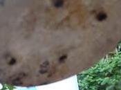 Composition improvisée