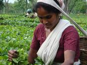Reconnaitre droits fonciers pauvres l'Inde