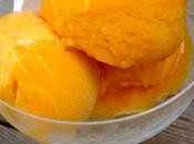 Sorbet abricot l'italienne