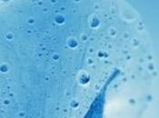 nouveaux fonds d'écran panoramiques pour iPhone 7...