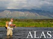 Ours bruns d’Alaska