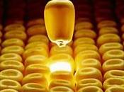 François Hollande digère américains