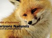 rencontres Photo Nature Gueugnon