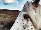 PHOTO Iphone Photography Awards